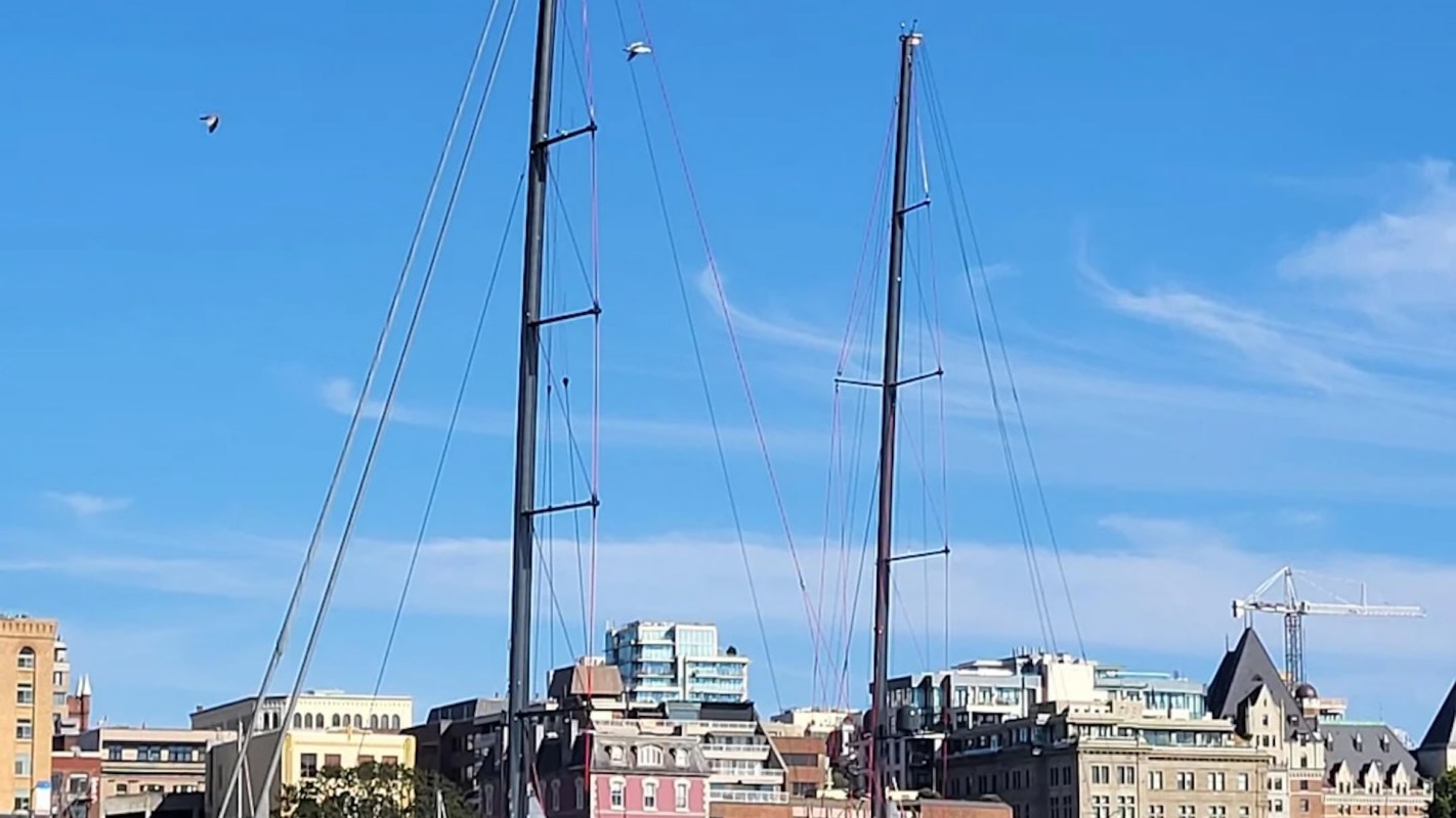 "Basically floating middle fingers with sails."