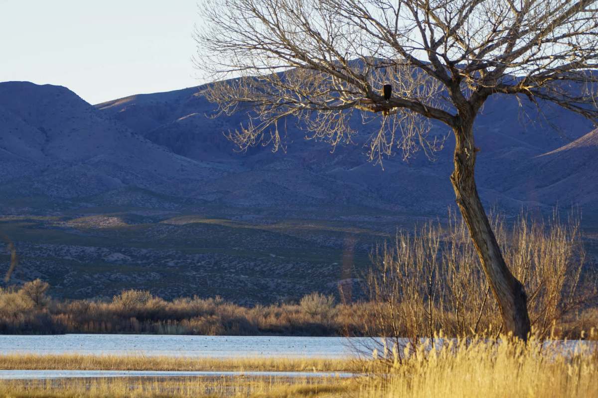 "All of these areas are really special."