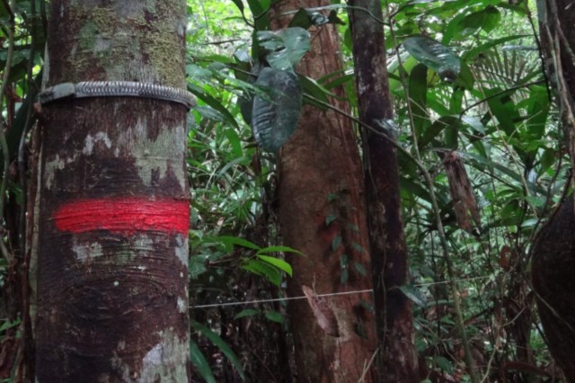 There are many ways we can take action.