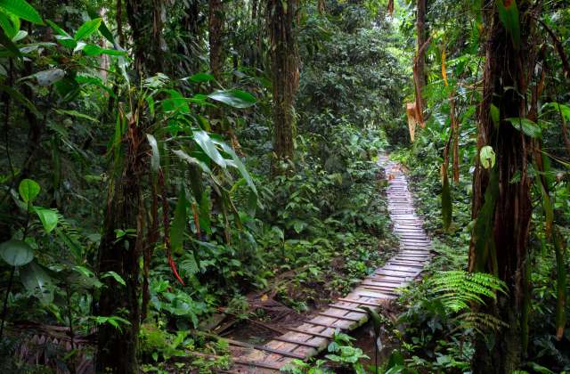 "It’s time to go on the offense."