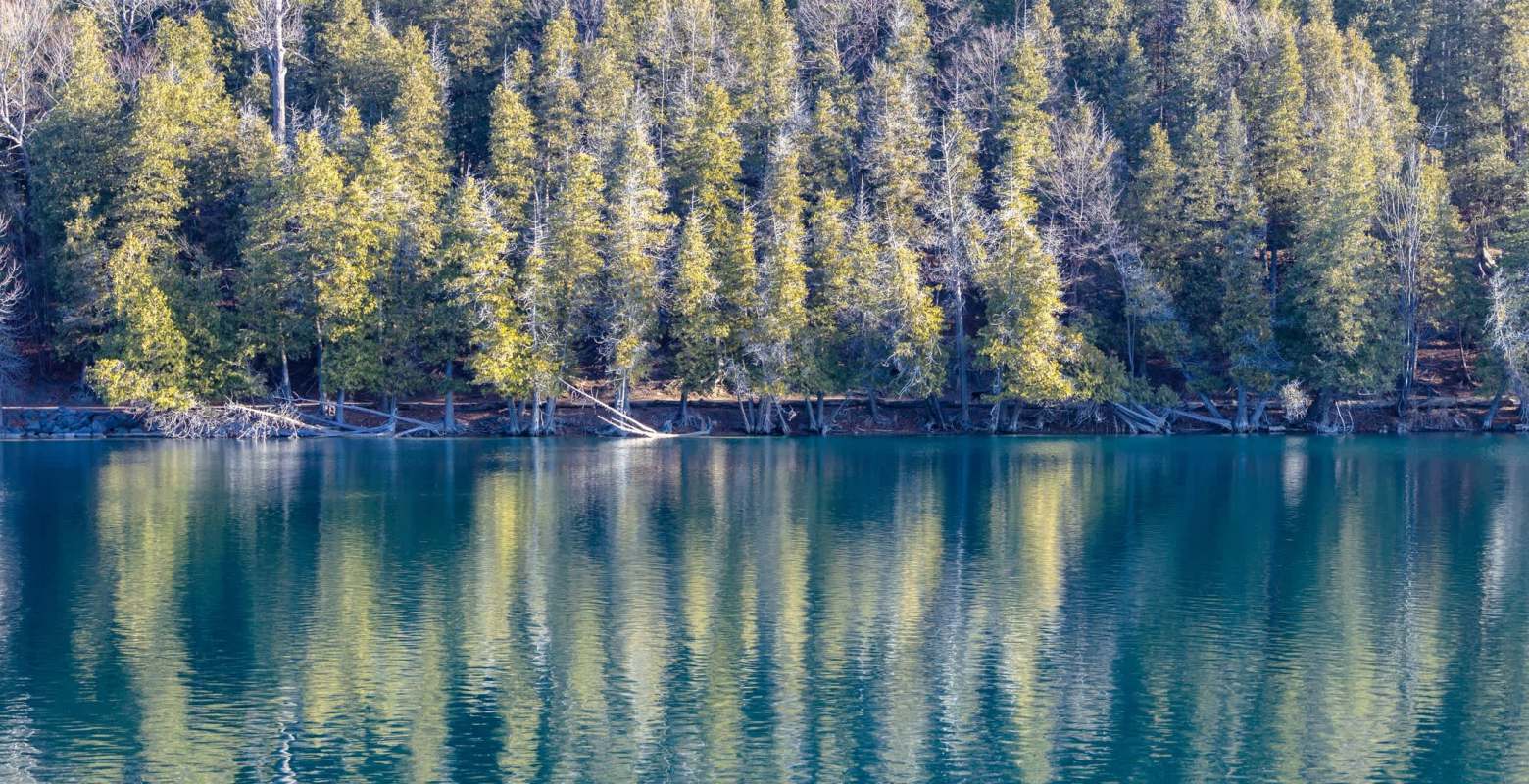 "The rediscovery of this bee in our orchard illustrates another beneficial impact."