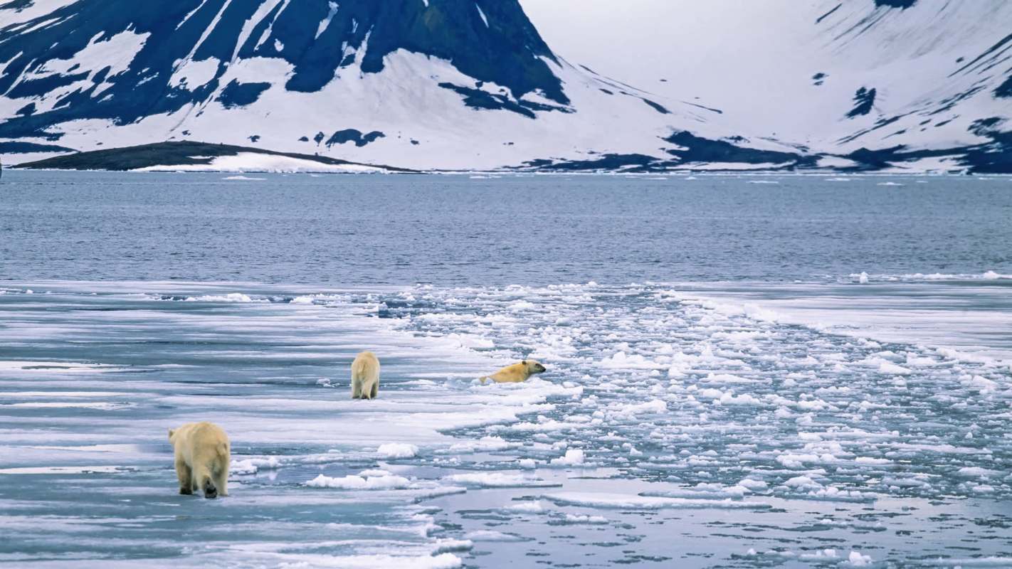 "Weren't even on our radar."