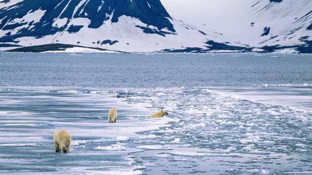 "Weren't even on our radar."