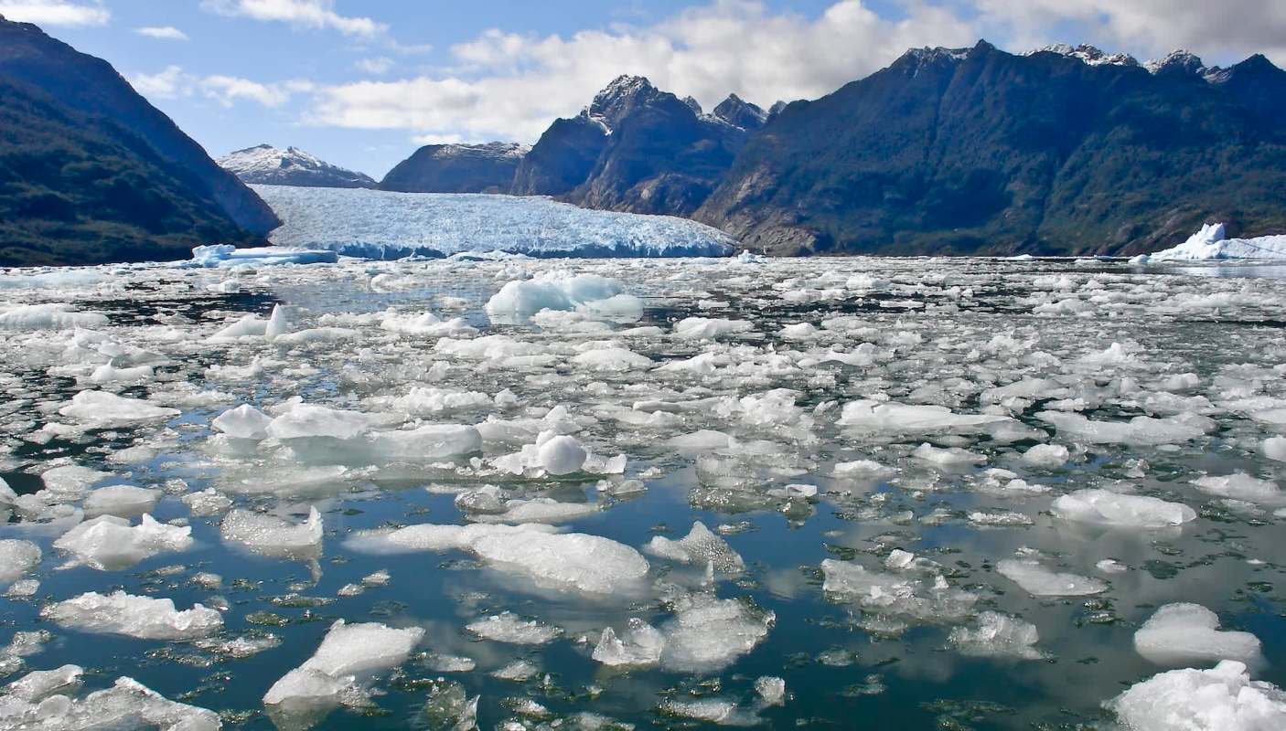 It’s not just people who will suffer the consequences.