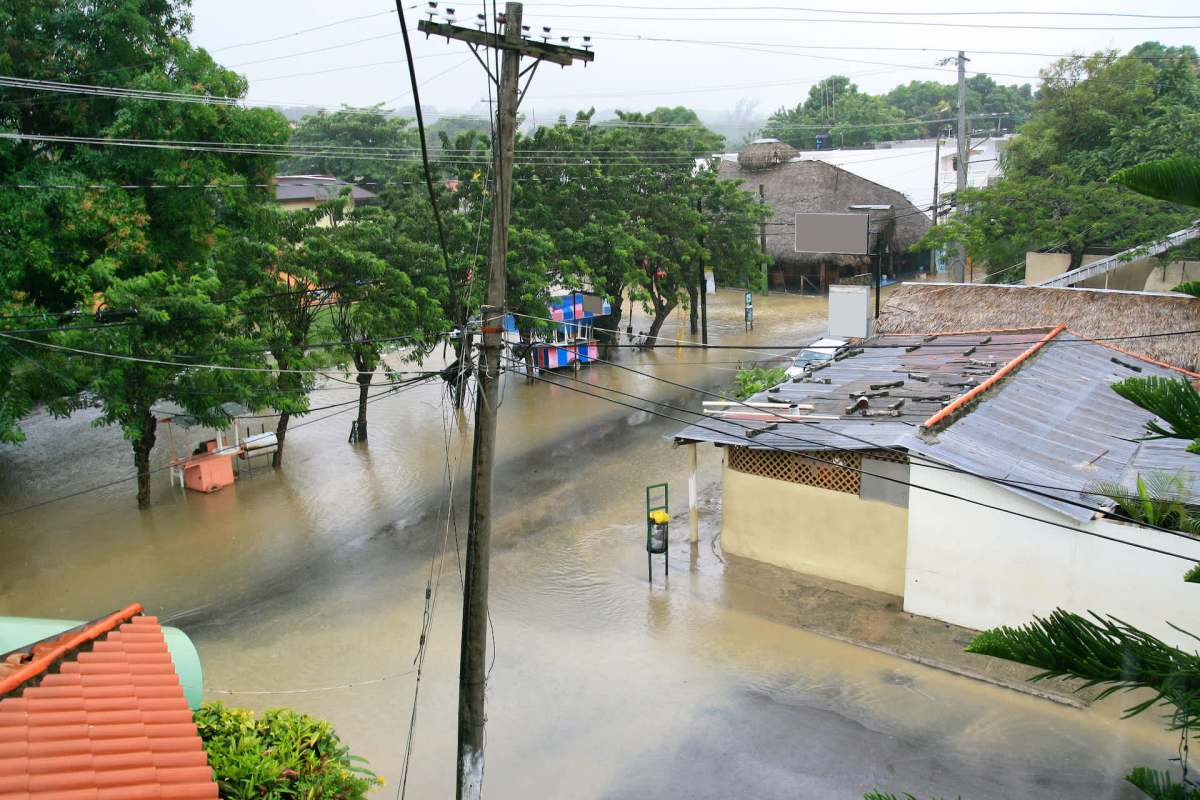 "The impacts are expected to increase."