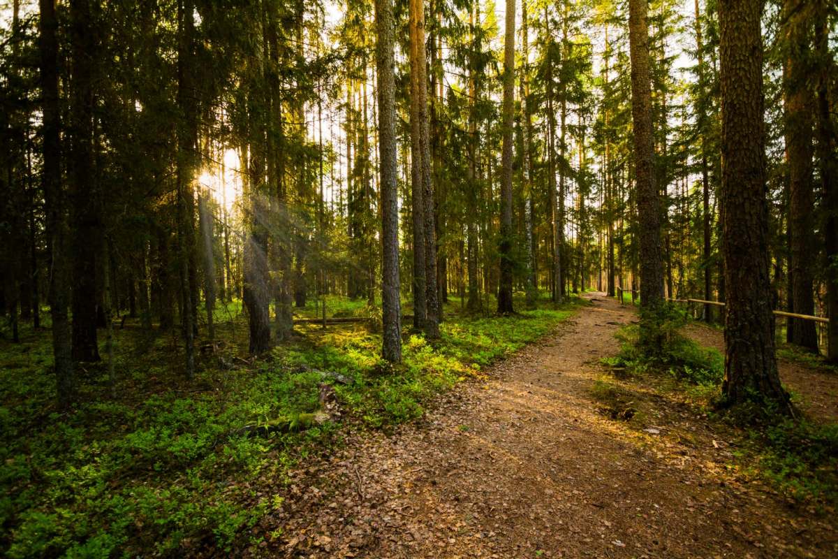 This knowledge can help inform decisions about population health and habitat loss.