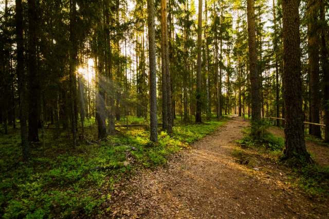 This knowledge can help inform decisions about population health and habitat loss.