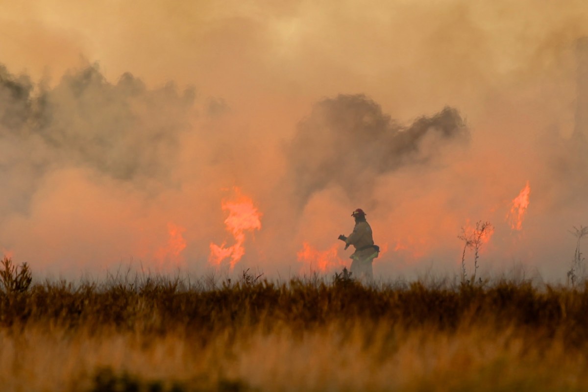 There were over 10,000 wildland firefighters and support personnel battling blazes nationwide.