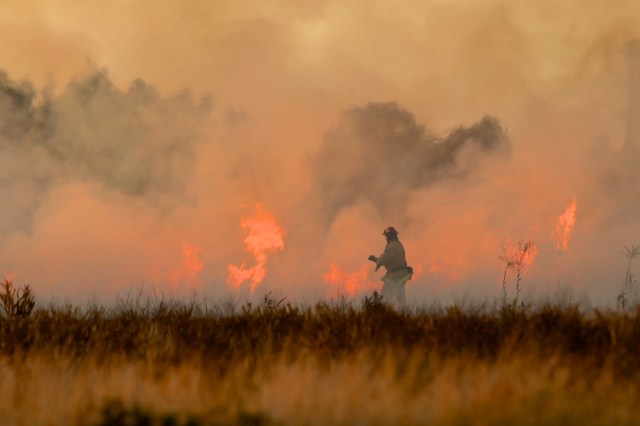 There were over 10,000 wildland firefighters and support personnel battling blazes nationwide.