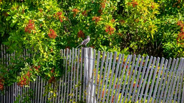 Efforts have proven both costly and largely ineffective.