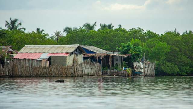 "It is surprising to see."