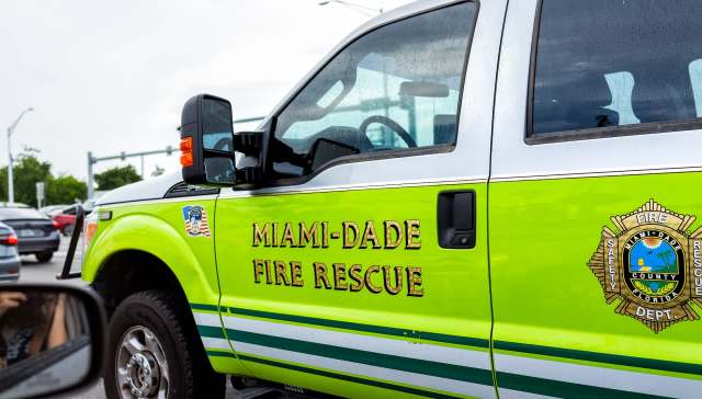 "Sightings near urban areas have become more common."