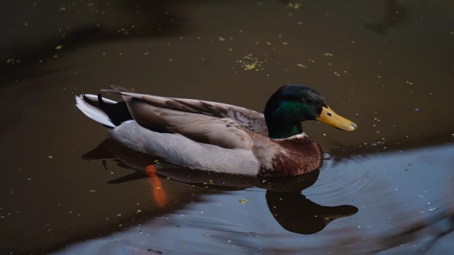 It's more than just upsetting to see.