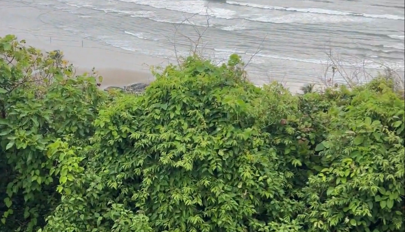 "People think they own everything."