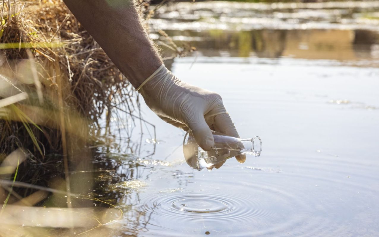 "We didn’t really have a good idea they were out there."