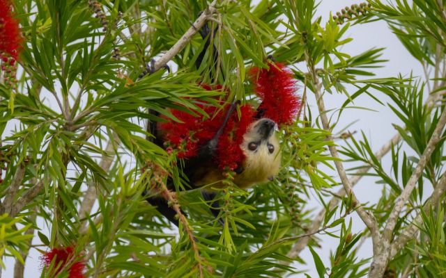 "It’s really a time for action."