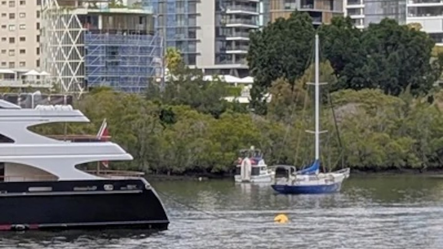 "Any Orcas in the local area feel like swinging by for a visit?"