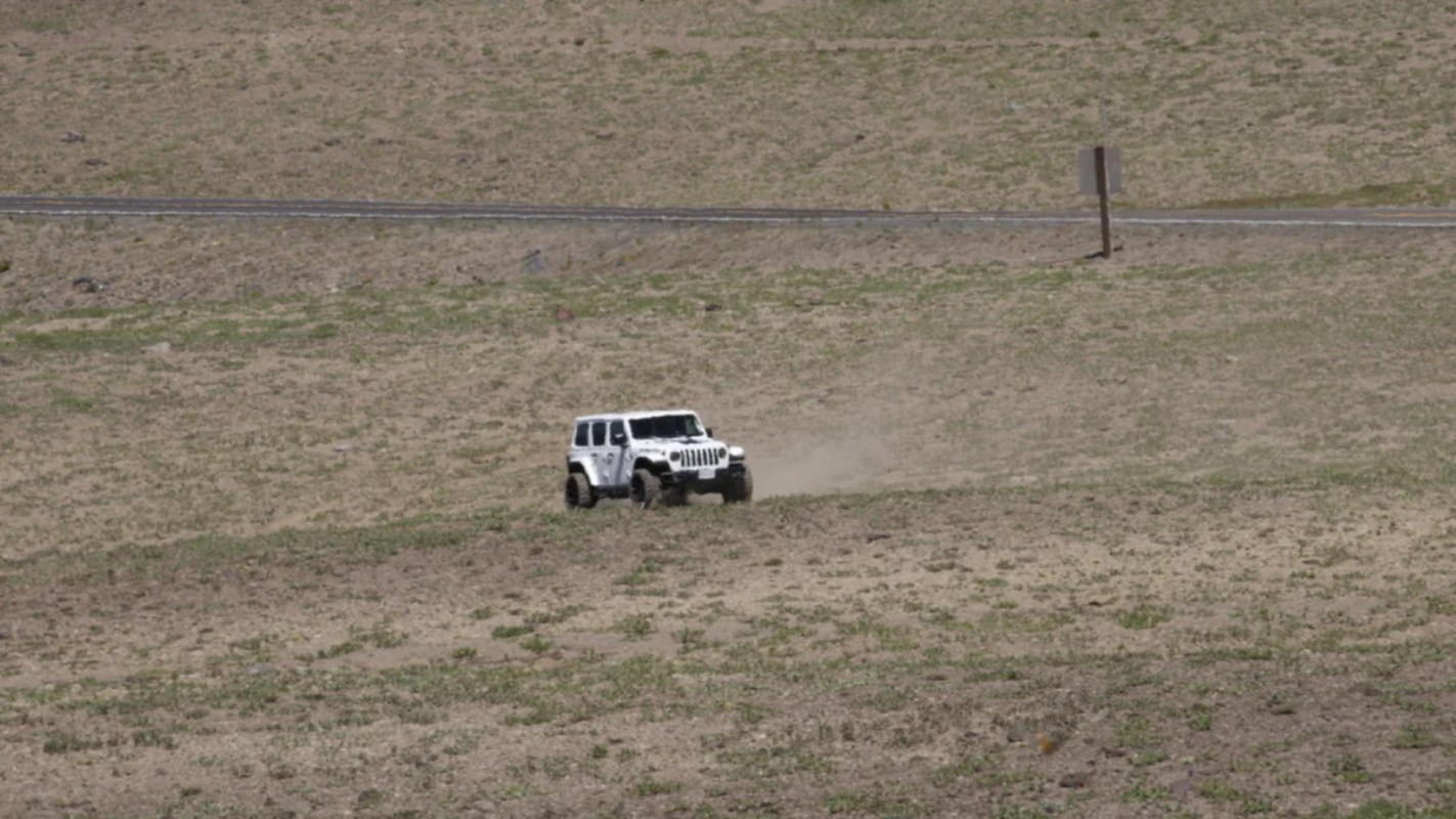"Too many people ... act like they just got let out outside for the first time."