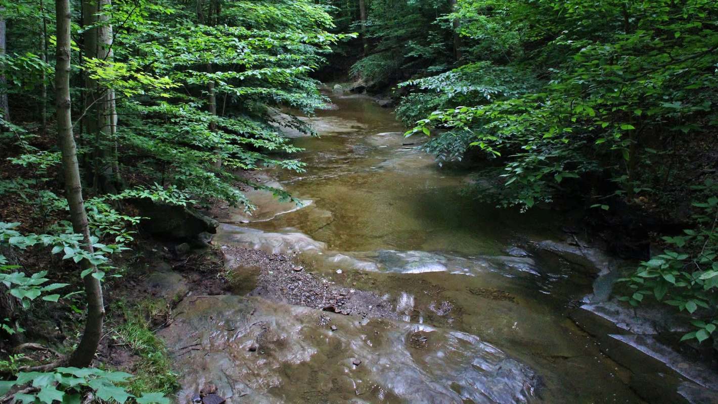 "It’s ridiculous and it’s everywhere."