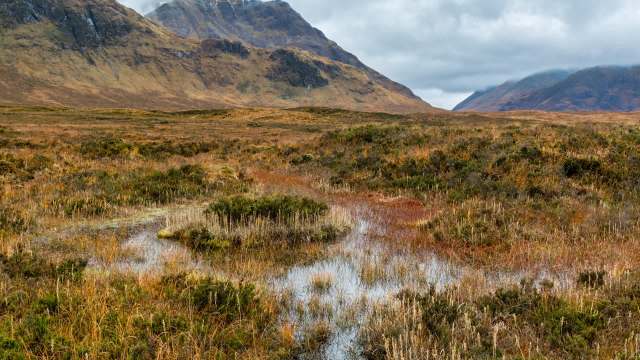 "Breathing life back into the landscape."