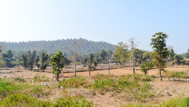 "We want people across the world to know."