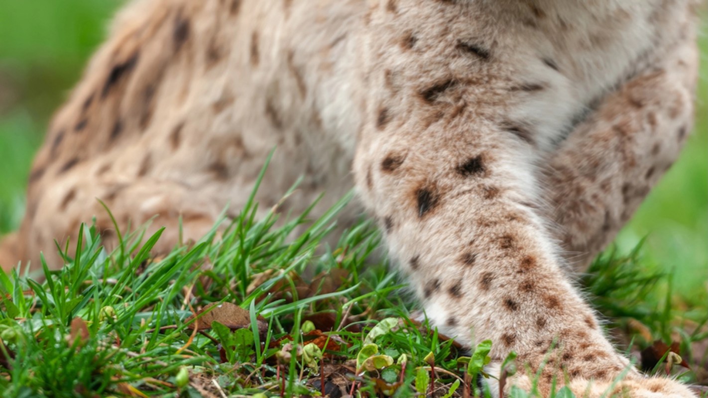 "I don't know why she was staring ... so long."