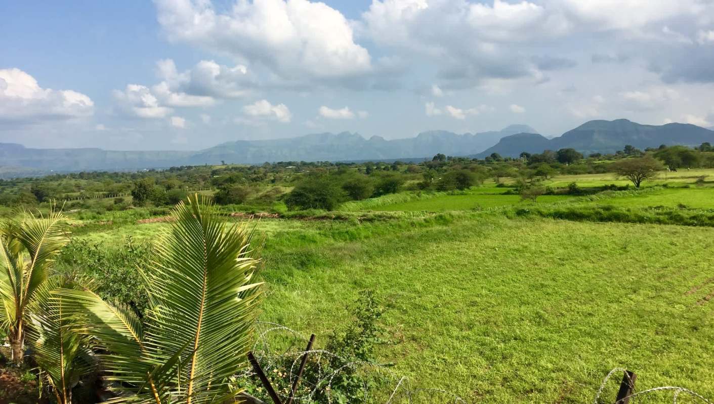 "Observations like this emphasize the need to take biodiversity studies more seriously."