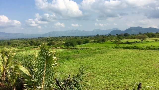 "Observations like this emphasize the need to take biodiversity studies more seriously."