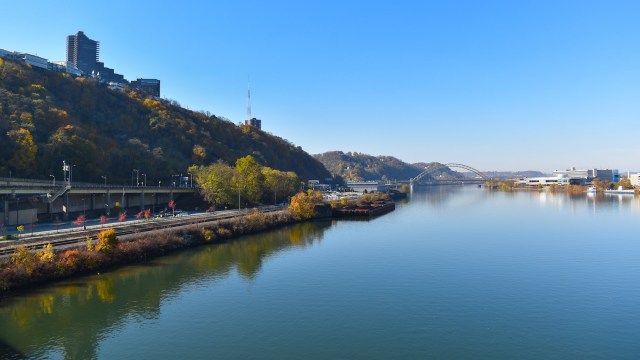 This comeback demonstrates what's possible when long-term restoration projects get the time and resources they need.