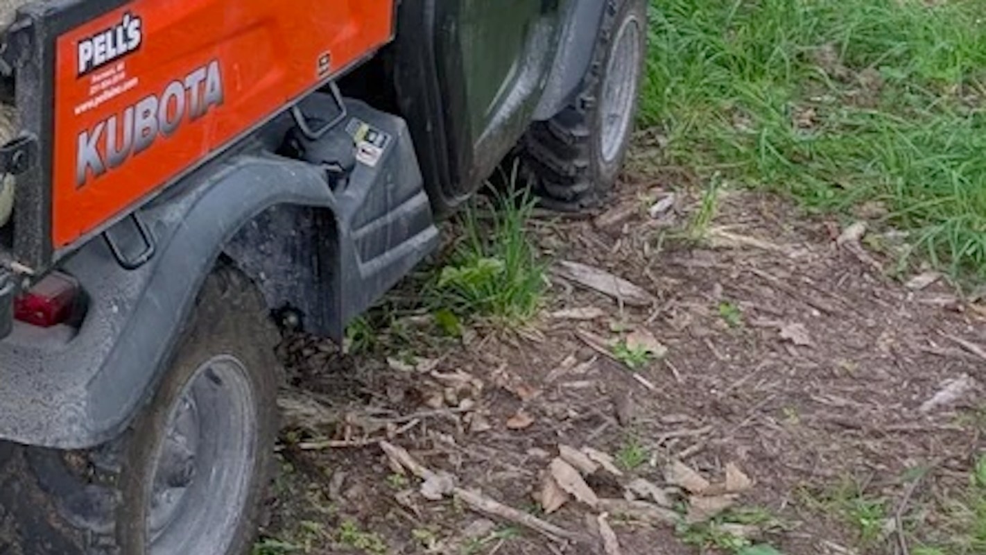 The reviewer highlighted several features.