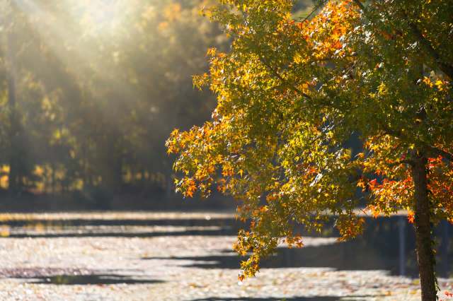 "It is a connector."