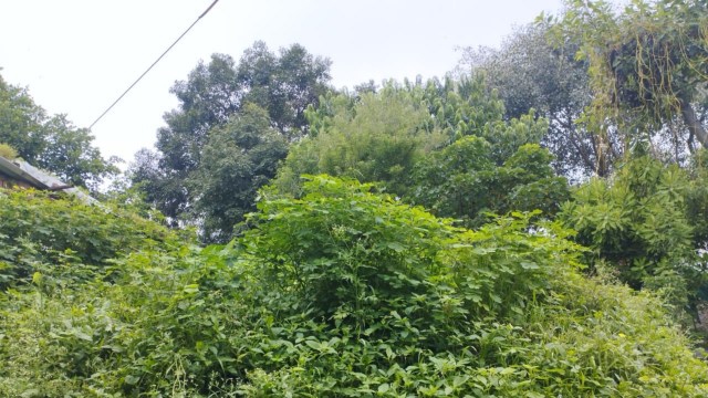 Commenters on the Reddit thread chimed in with their own experiences.