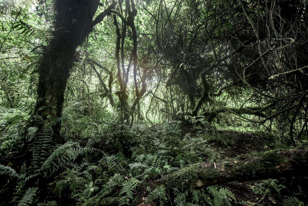 "Well done on getting this video."