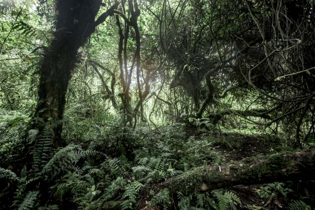 "Well done on getting this video."