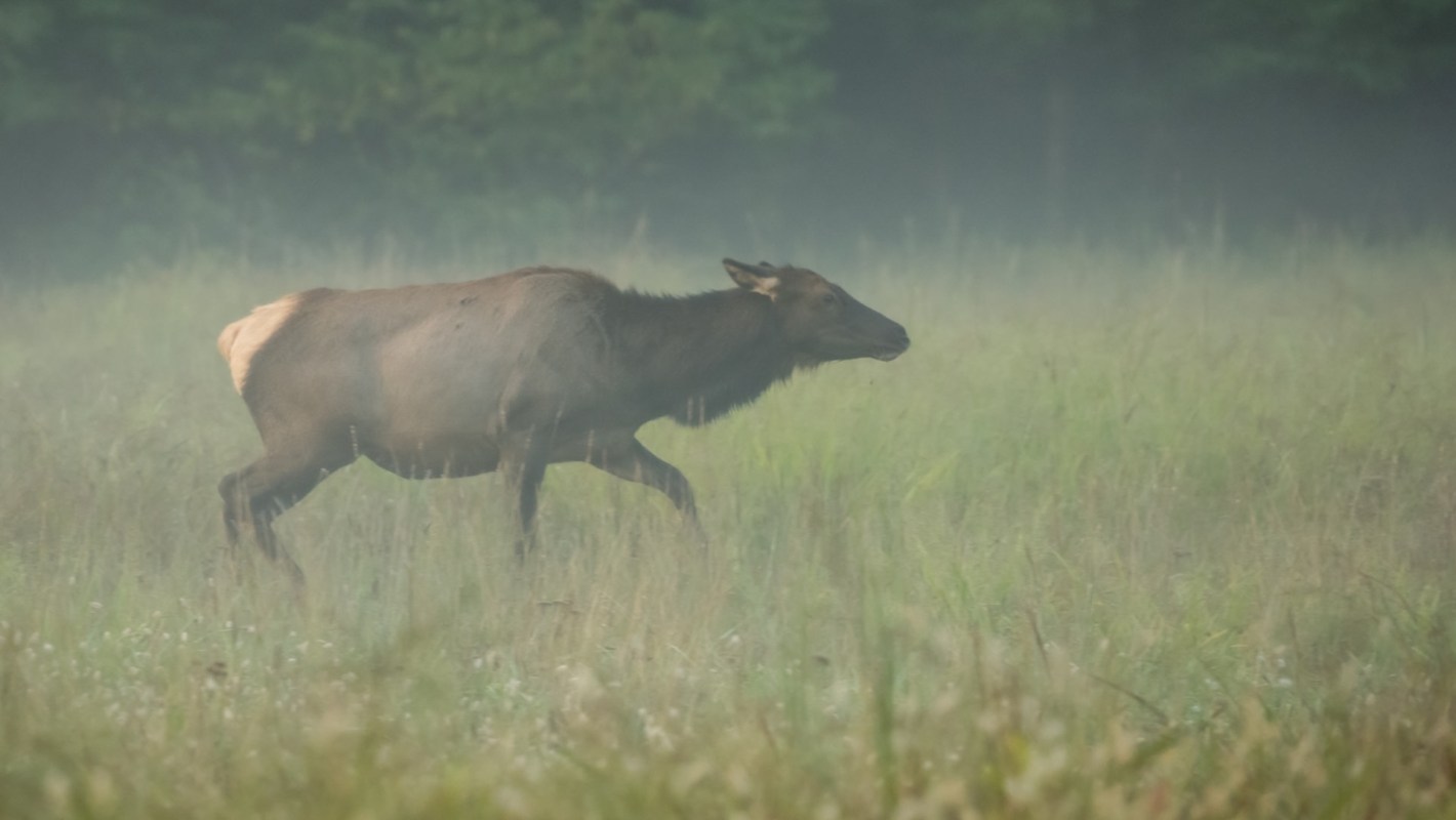 "Incidents like this are on the rise."