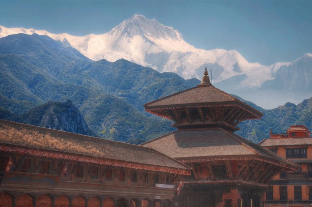 Images like these can play a key role in conservation efforts.