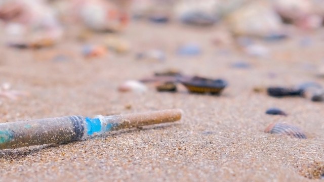 "Beachwatch data has already been used by governments."