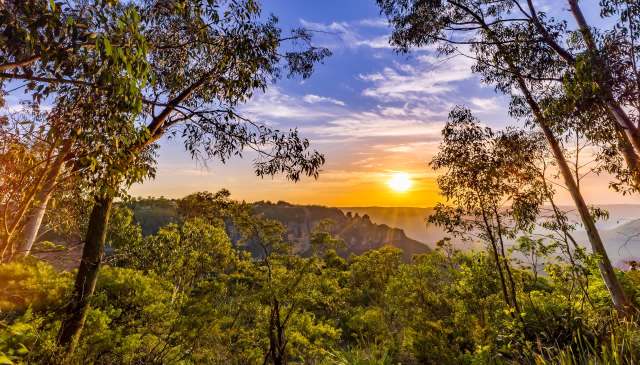 "Our grandchildren will still be able to see them."