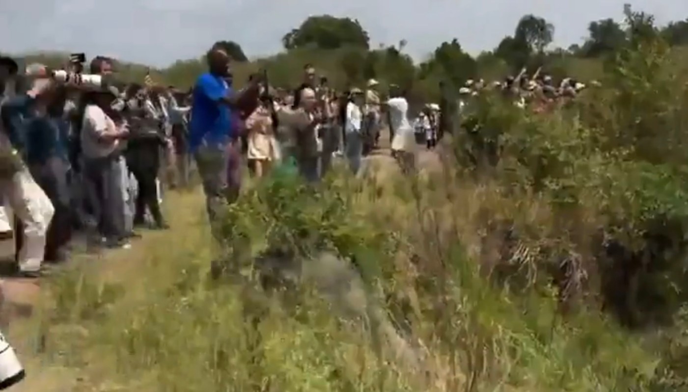 "This is extremely upsetting to see."