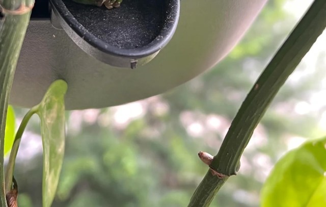 "How come I never get this lucky?"