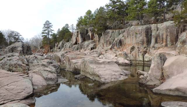 "Finding a male is exciting, but we hope to find larvae or adults that indicate long-term breeding success."