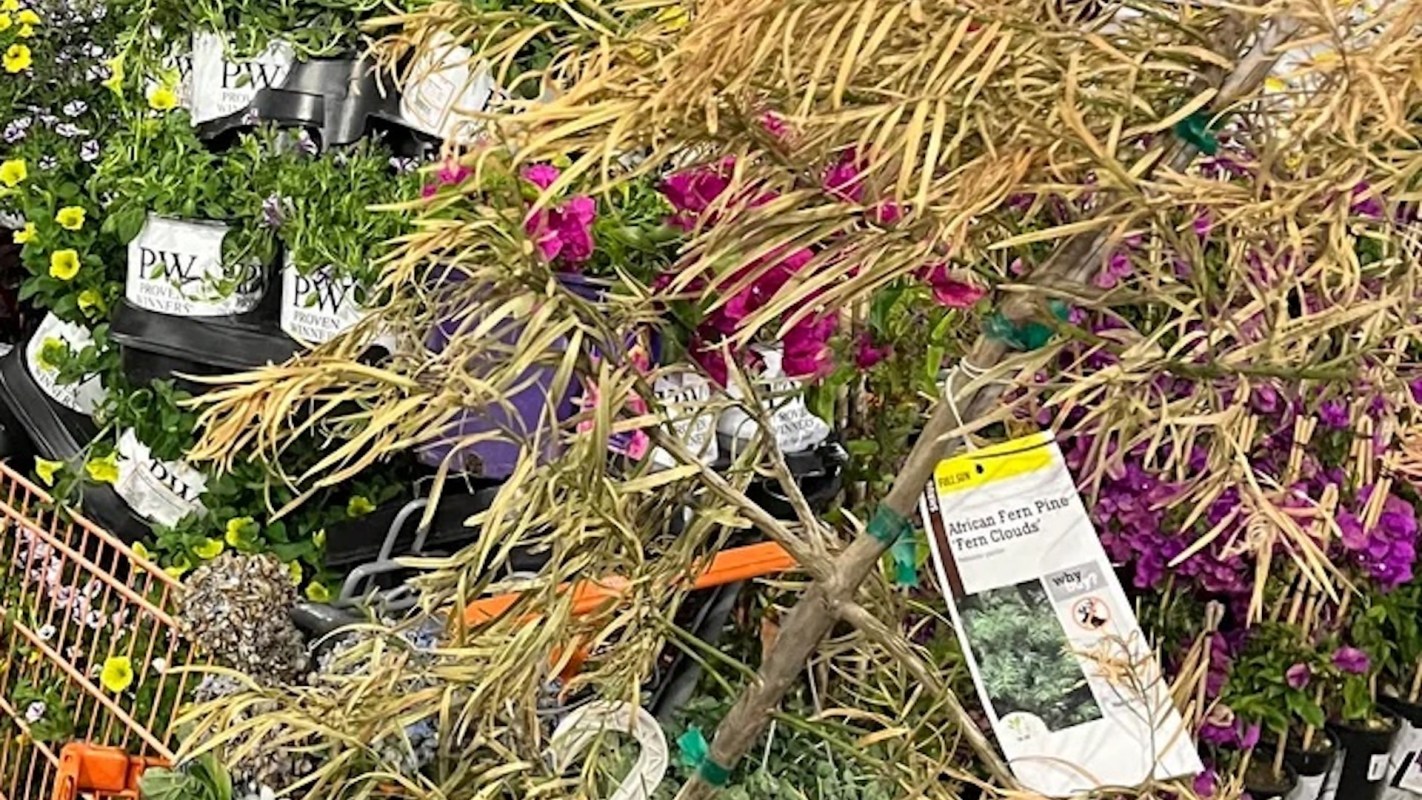 "I will no longer shop at Home Depot."