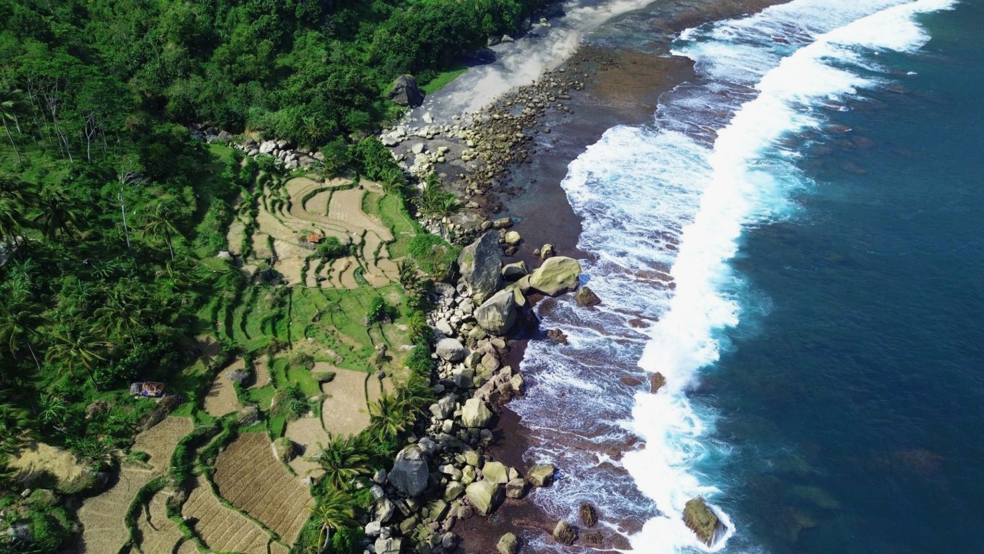 "Please help me find a solution."