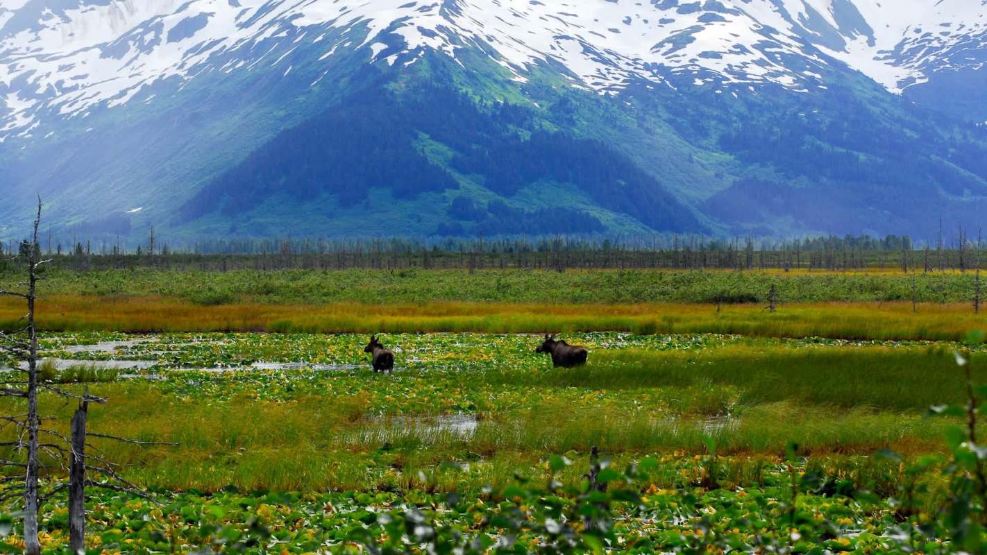 "Very deserving of protection."