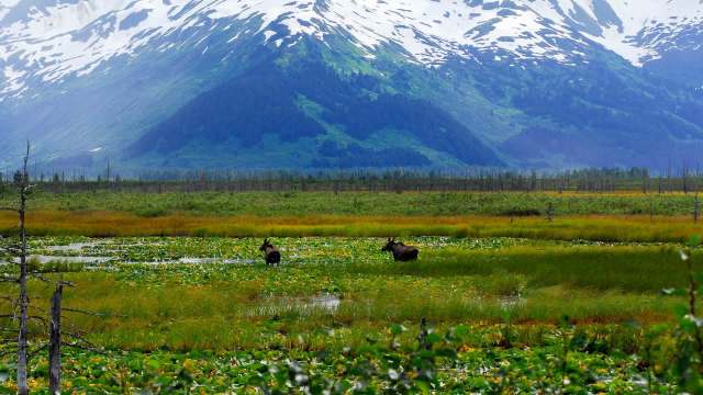 "Very deserving of protection."