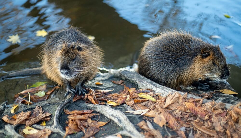 "It tastes great, and I see no issues with it as a marketable product."