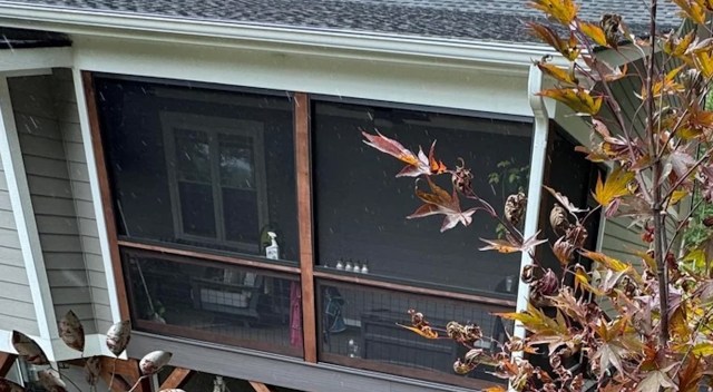 "I'd rather not start all over if I don't have to!"