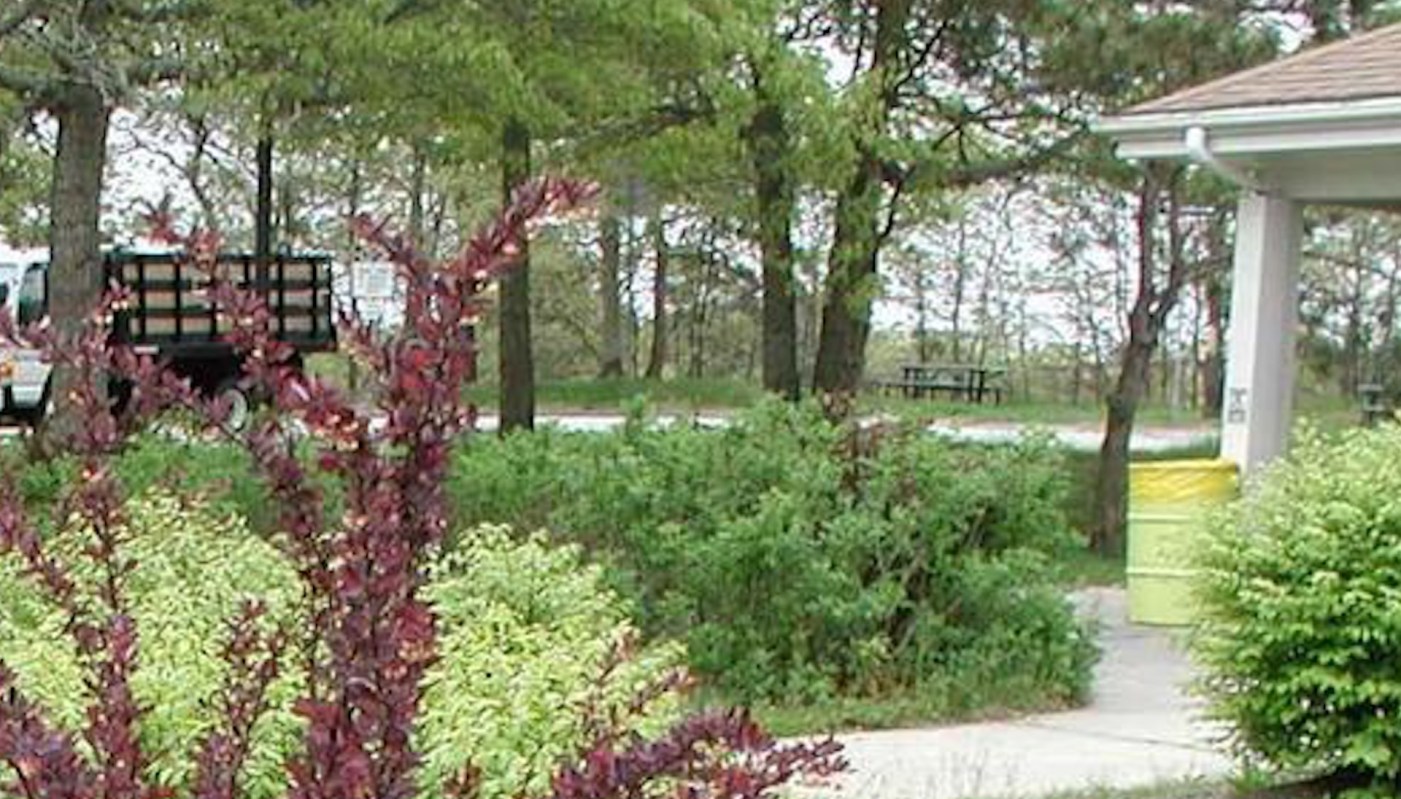 "Finally got rid of them all, thankfully."