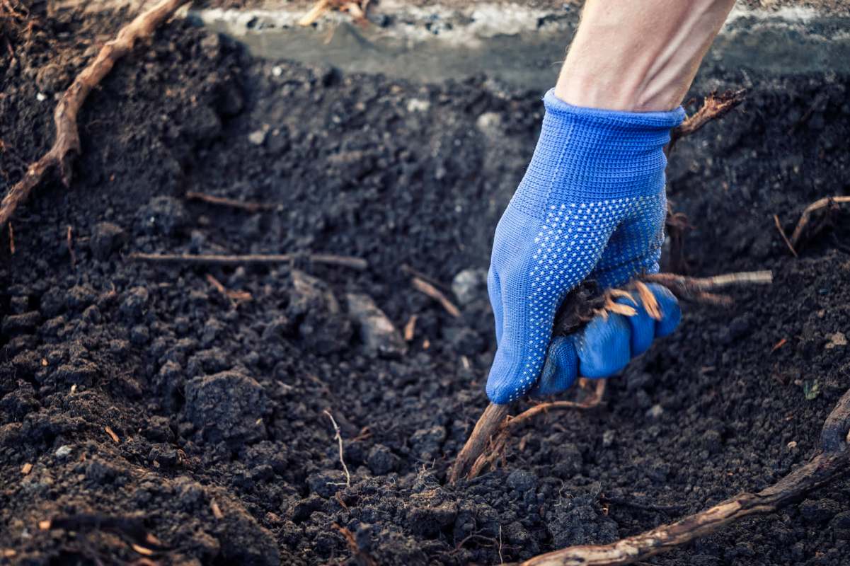 The new solution is built into a shipping container.