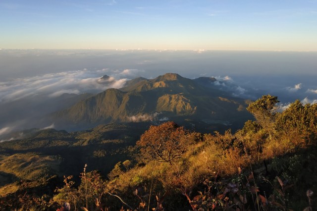 "Camera traps are a reliable tool for wildlife monitoring."